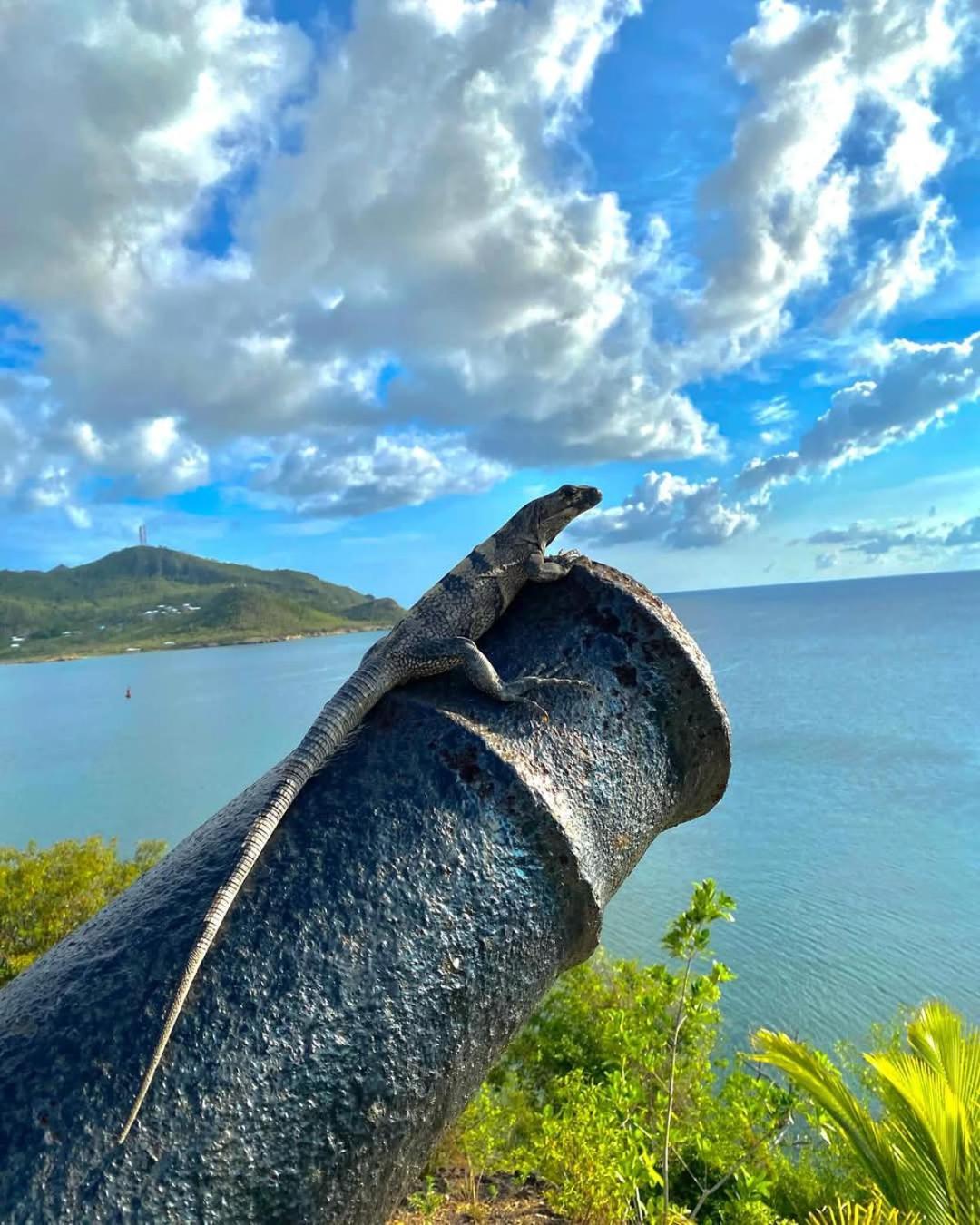 Posada Sunshine Paradise Providencia Island Buitenkant foto