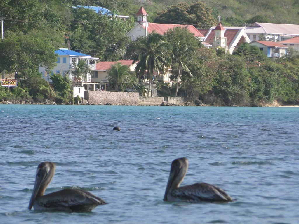 Posada Sunshine Paradise Providencia Island Buitenkant foto