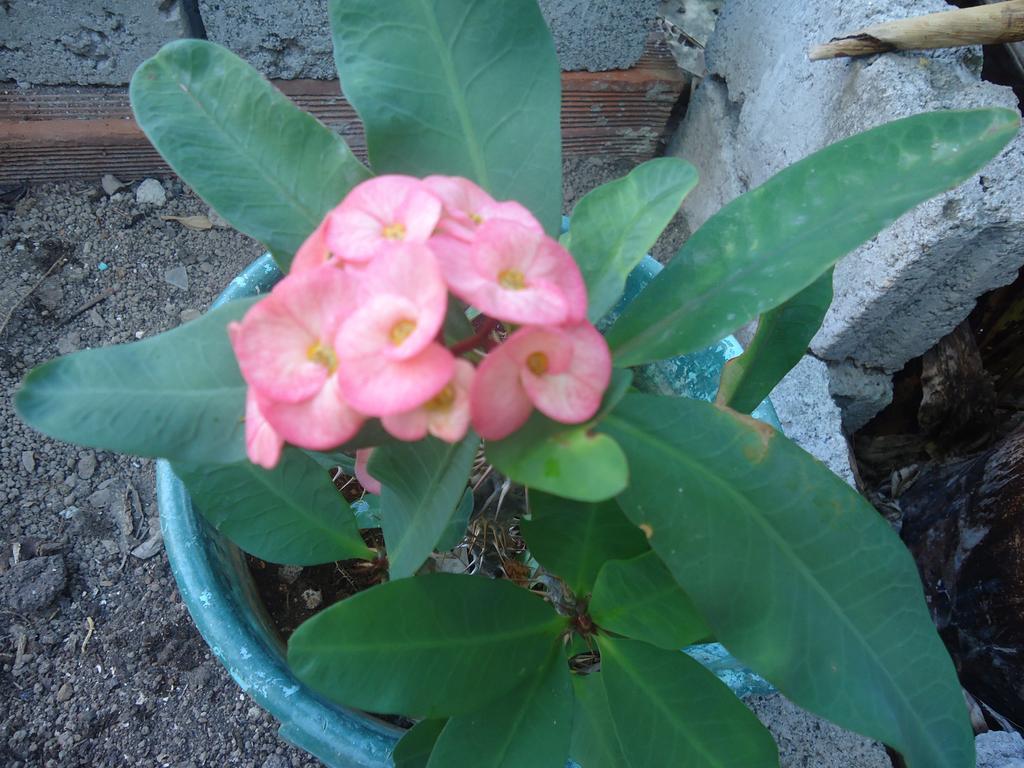 Posada Sunshine Paradise Providencia Island Buitenkant foto