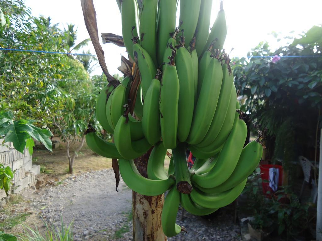 Posada Sunshine Paradise Providencia Island Buitenkant foto