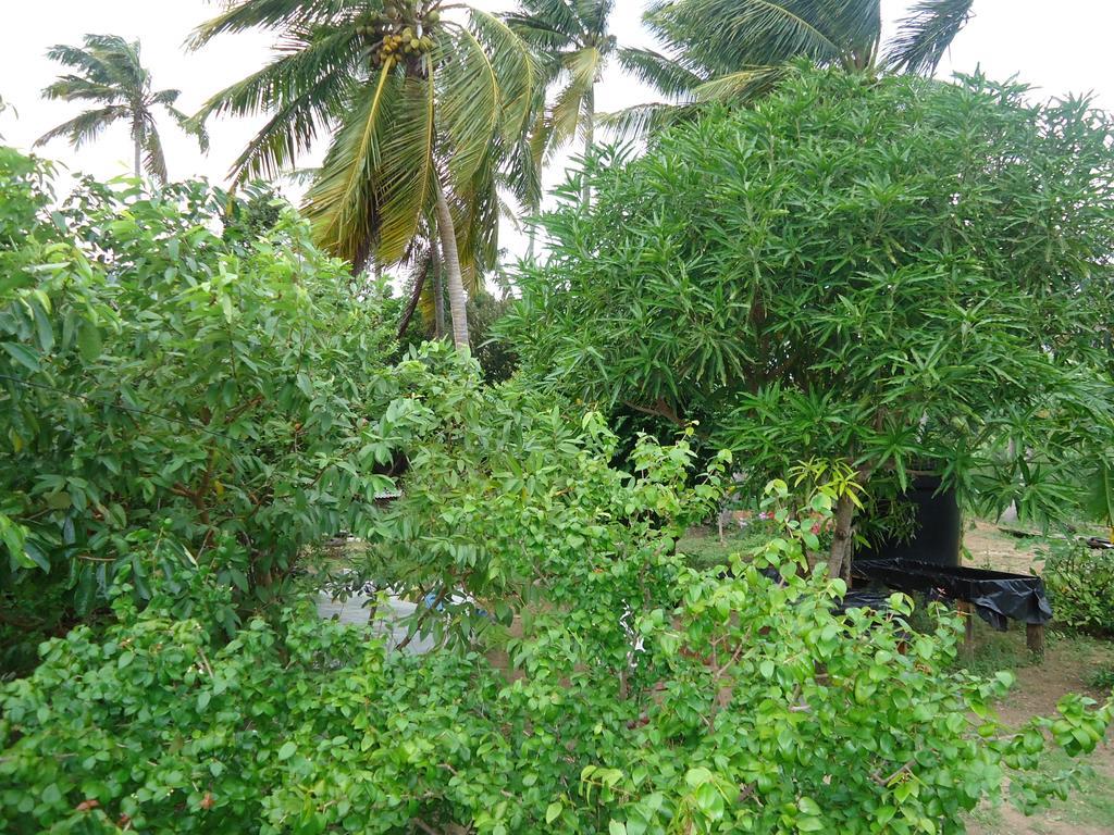 Posada Sunshine Paradise Providencia Island Buitenkant foto