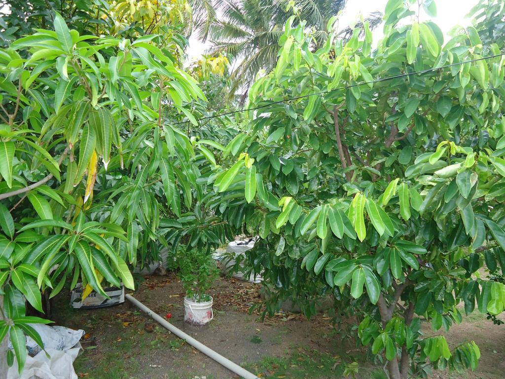 Posada Sunshine Paradise Providencia Island Buitenkant foto