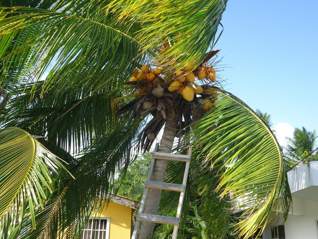Posada Sunshine Paradise Providencia Island Buitenkant foto